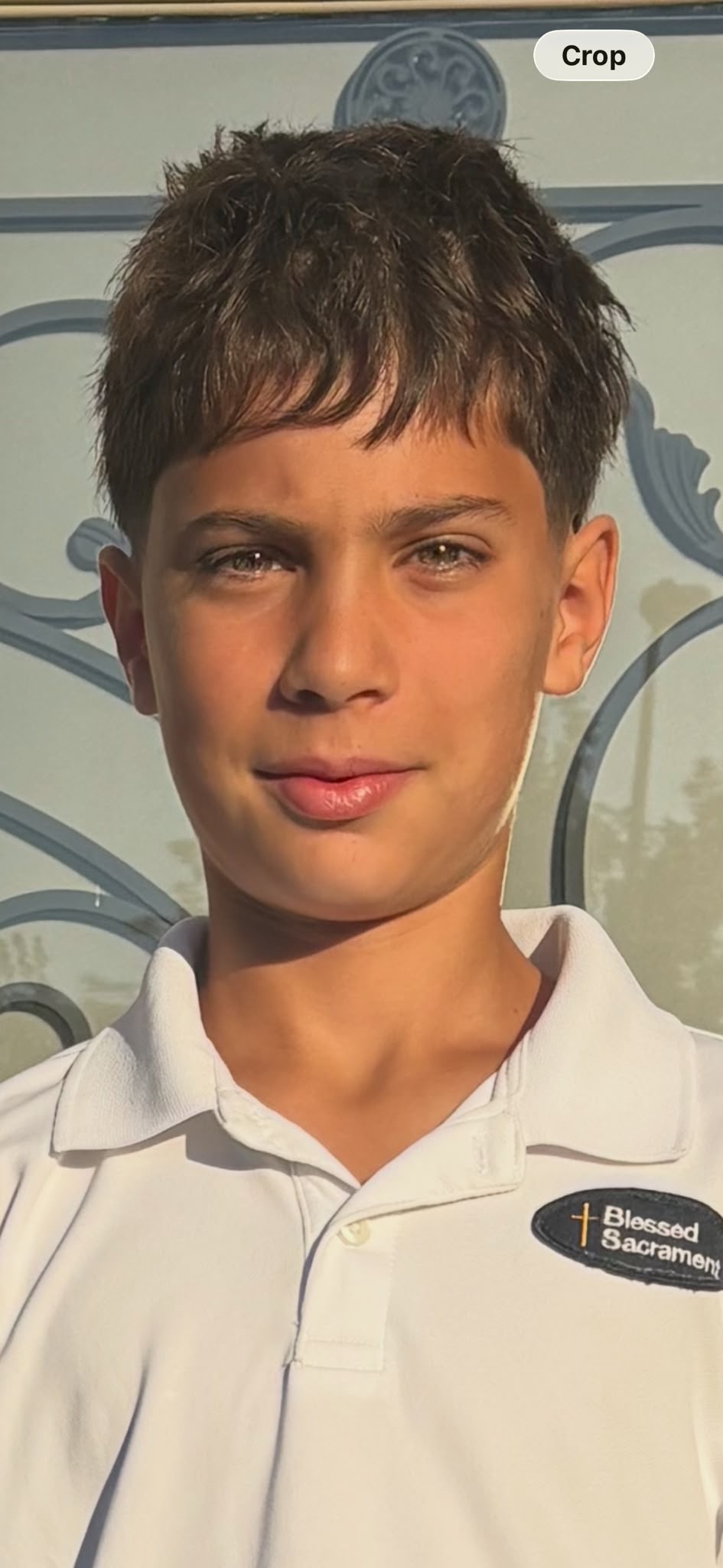 Luca Colamartini